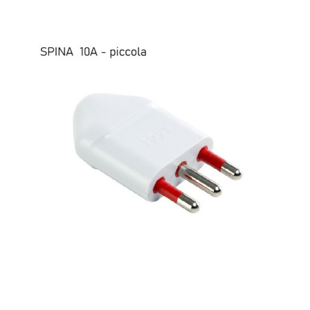 SPINA piccola 10A