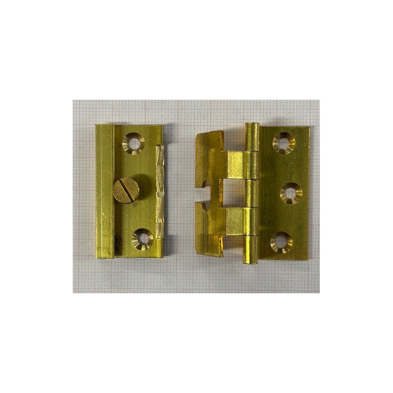 Cerniera regolabile astuccio quadro a doppia battuta in ottone - 3D per mobile Armadio